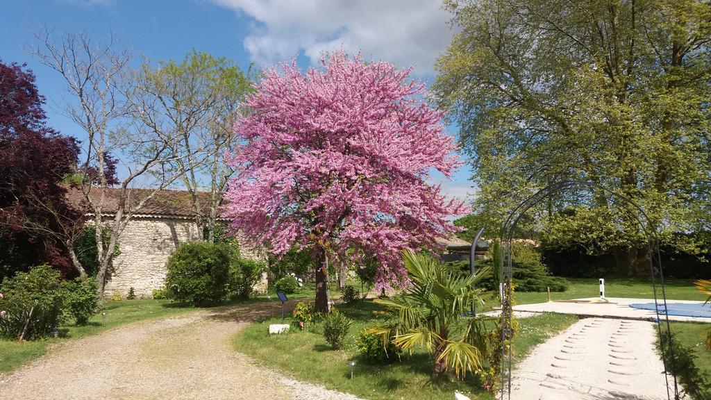 Domaine Du Papillon Bed and Breakfast Lesparre-Médoc Eksteriør billede